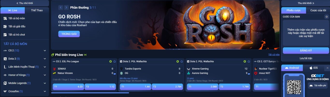 Cá cược Esports 1xBet